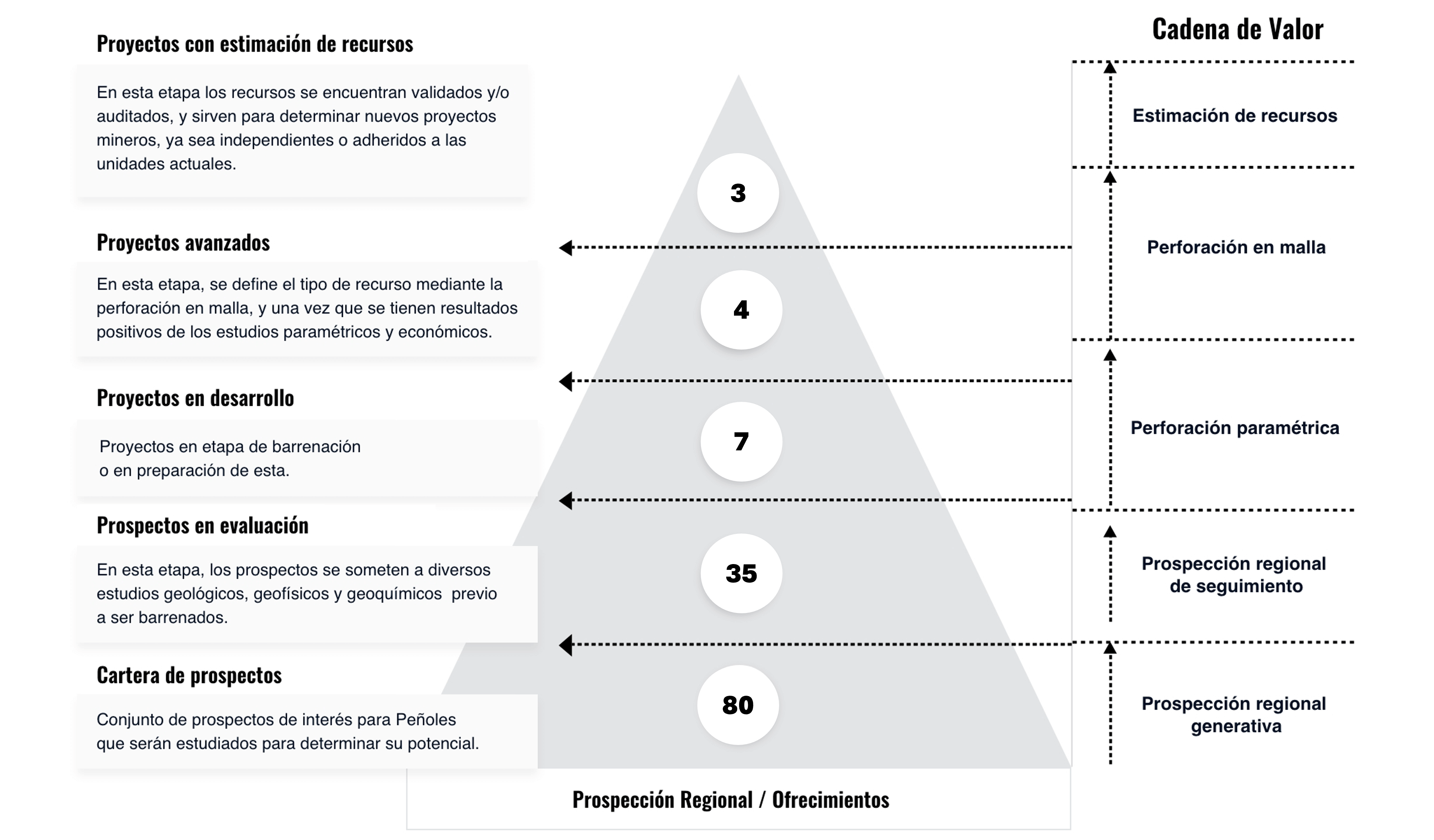 Grafica