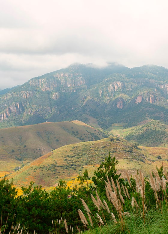 Biodiversidad