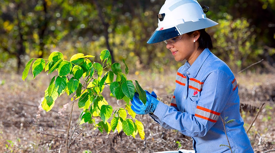 Evitar daños a la biodiversidad