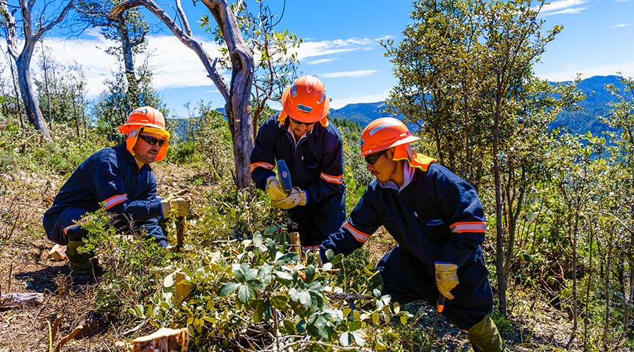 Prevenir incidentes ambientales y estar preparados para atender emergencias