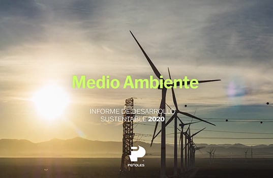 Medio Ambiente